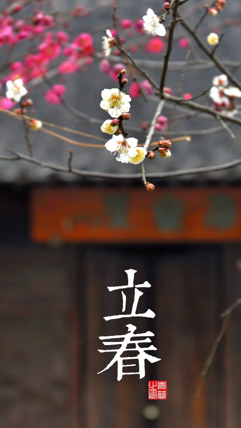 Aesthetic Wallpaper #1358