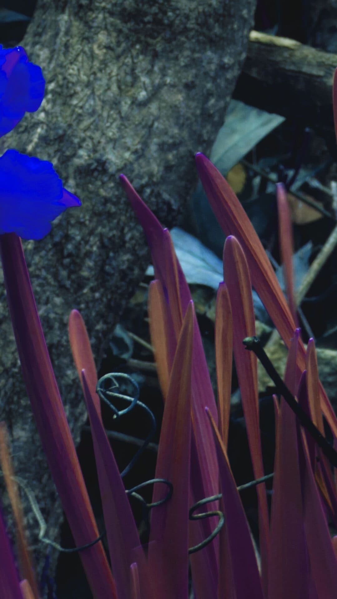 Aesthetic Wallpaper #337