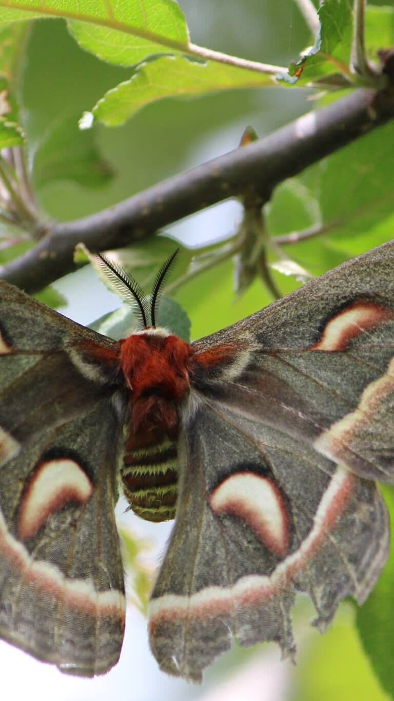 Aesthetic Wallpaper #4501