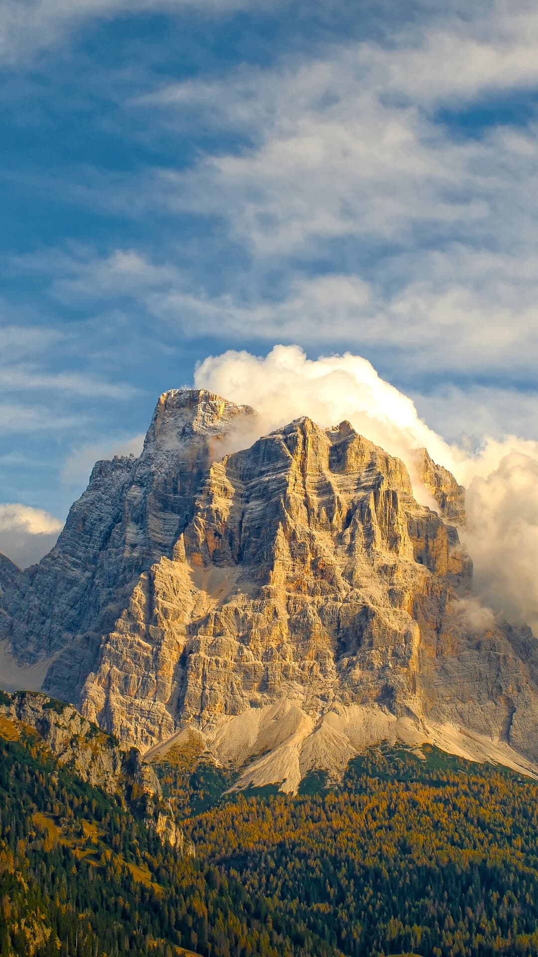 Aesthetic Wallpaper #1836