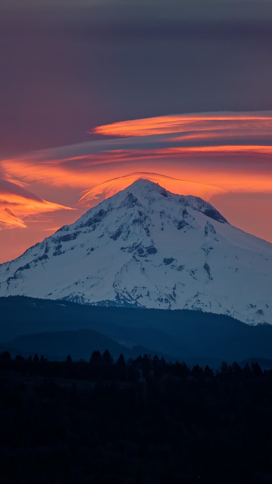 Aesthetic Wallpaper #2520