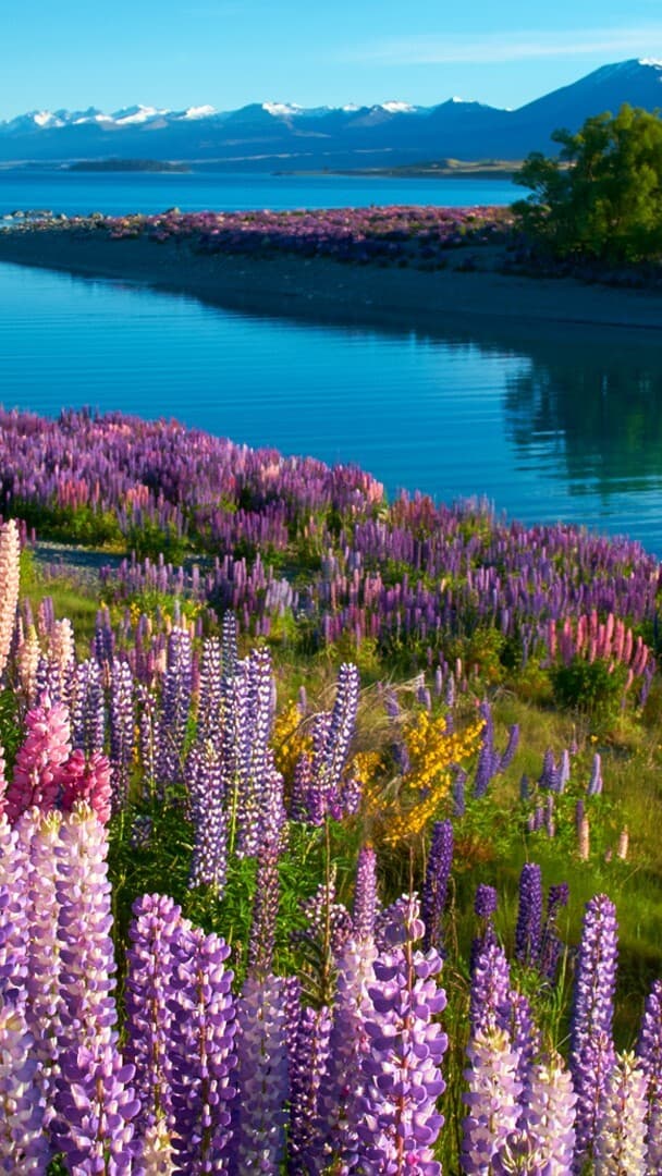 Aesthetic Wallpaper #3502