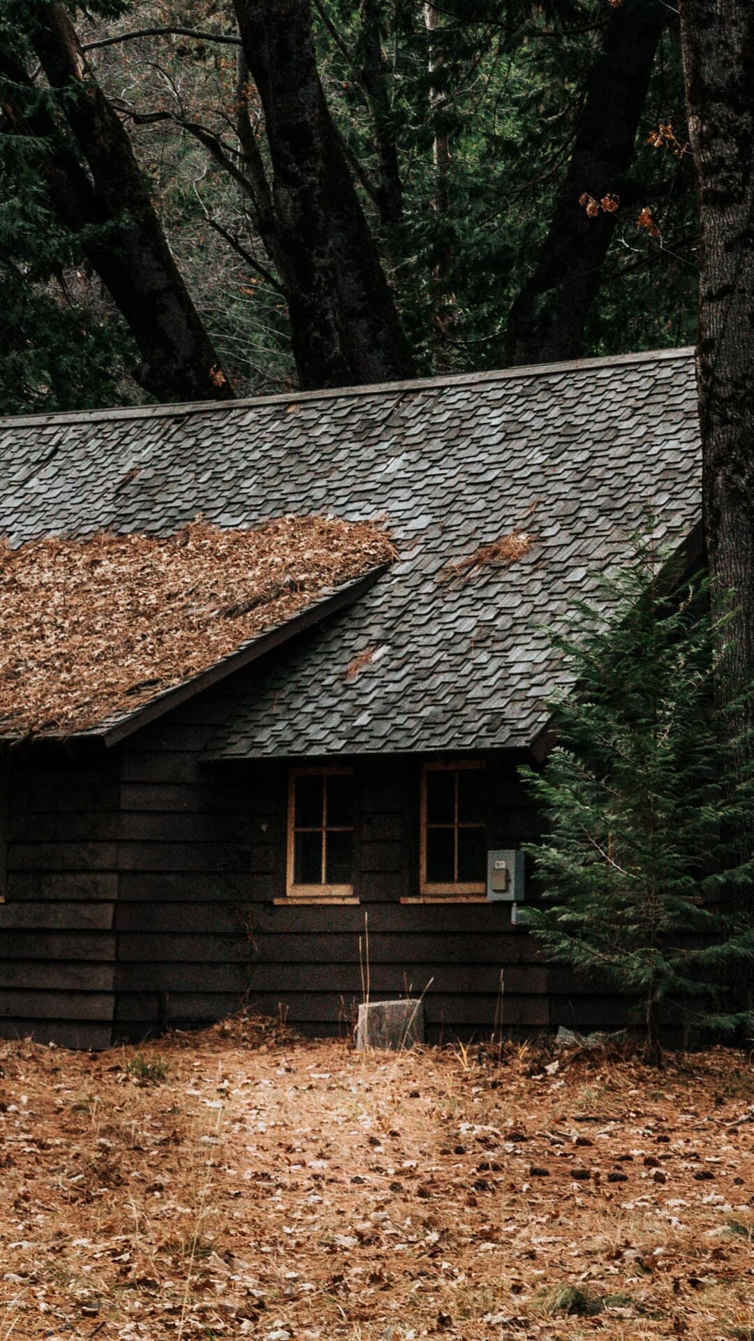 Aesthetic Wallpaper #1723