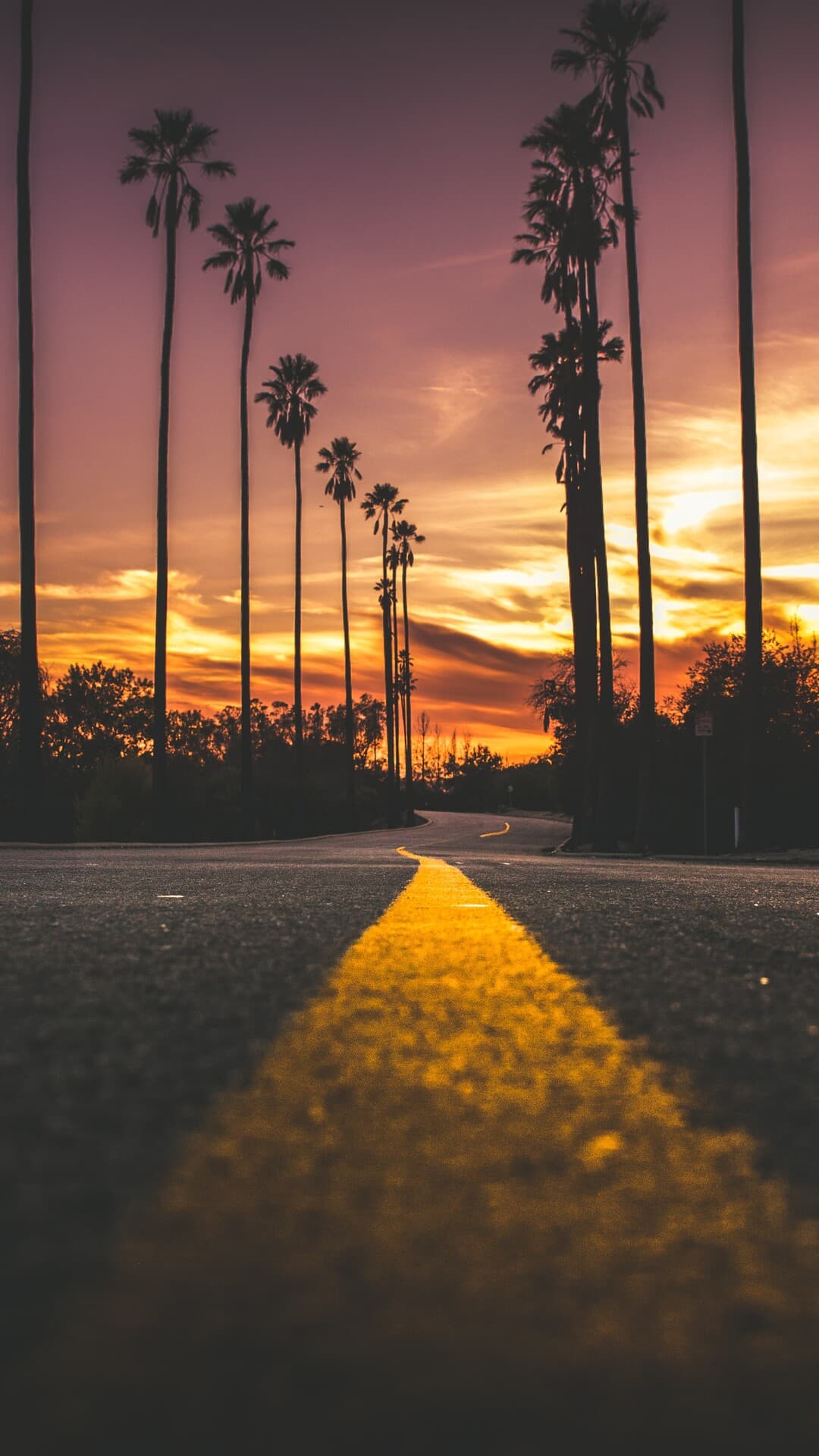 Aesthetic Wallpaper #1701