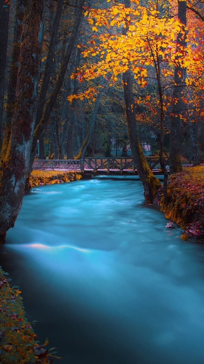 Aesthetic Wallpaper #1971