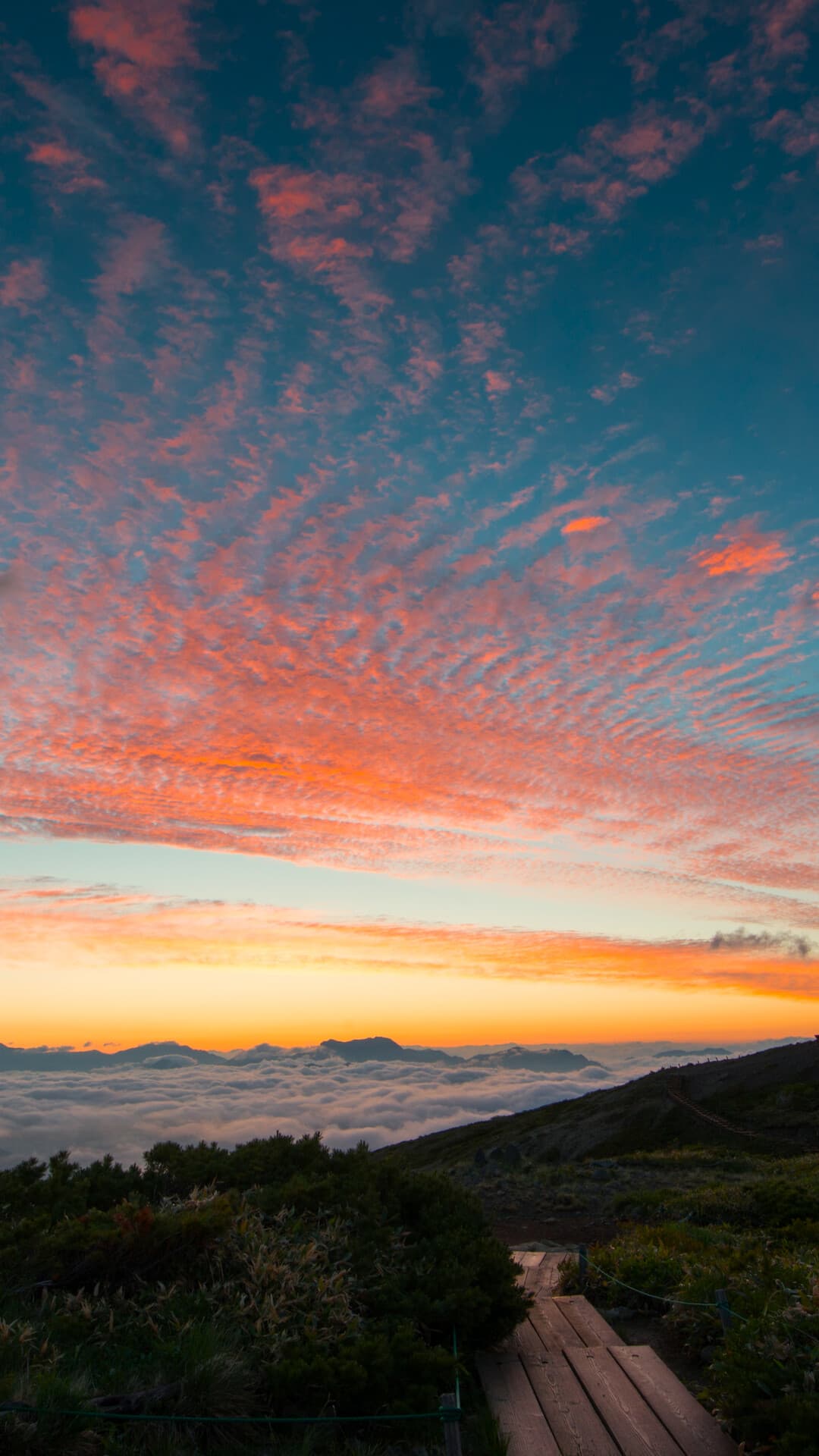 Aesthetic Wallpaper #4203