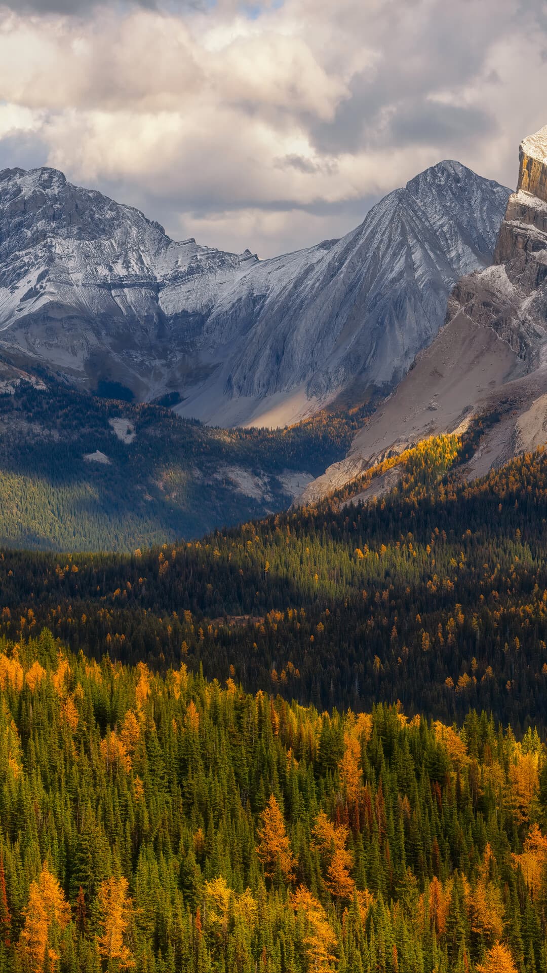 Aesthetic Wallpaper #1107