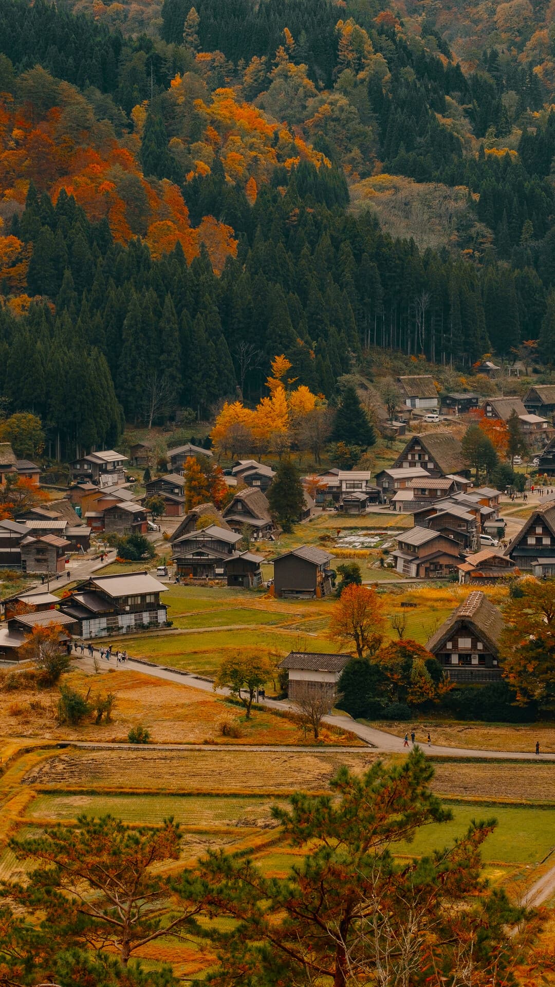 Aesthetic Wallpaper #1435