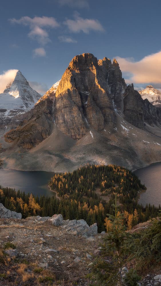 Aesthetic Wallpaper #2643