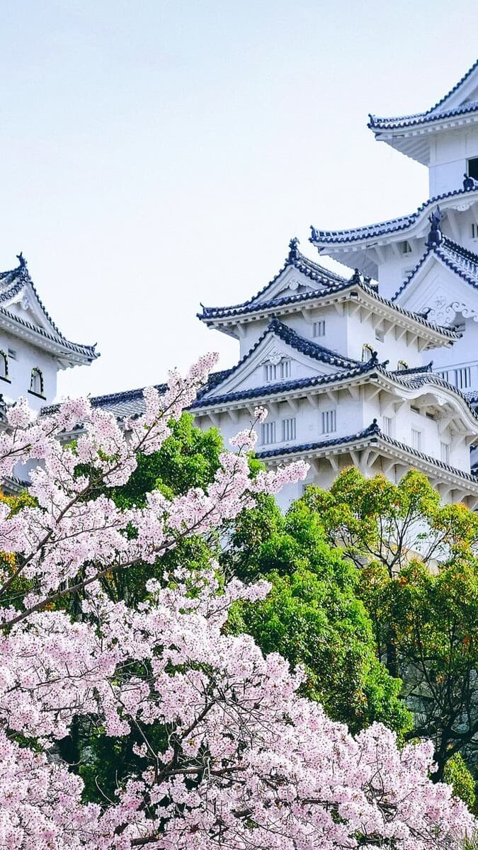 Aesthetic Wallpaper #3901