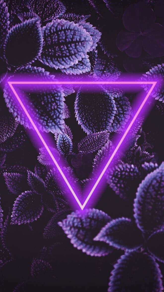 Aesthetic Wallpaper #1109