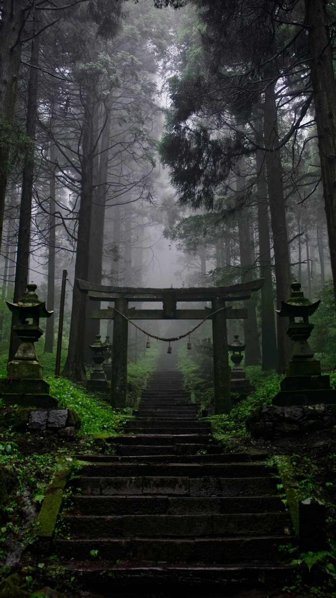 Aesthetic Wallpaper #2082