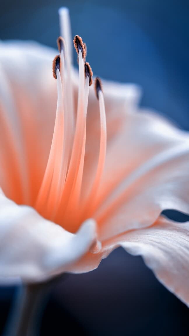 Aesthetic Wallpaper #2258