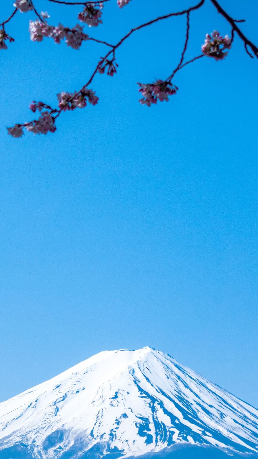 Aesthetic Wallpaper #4966