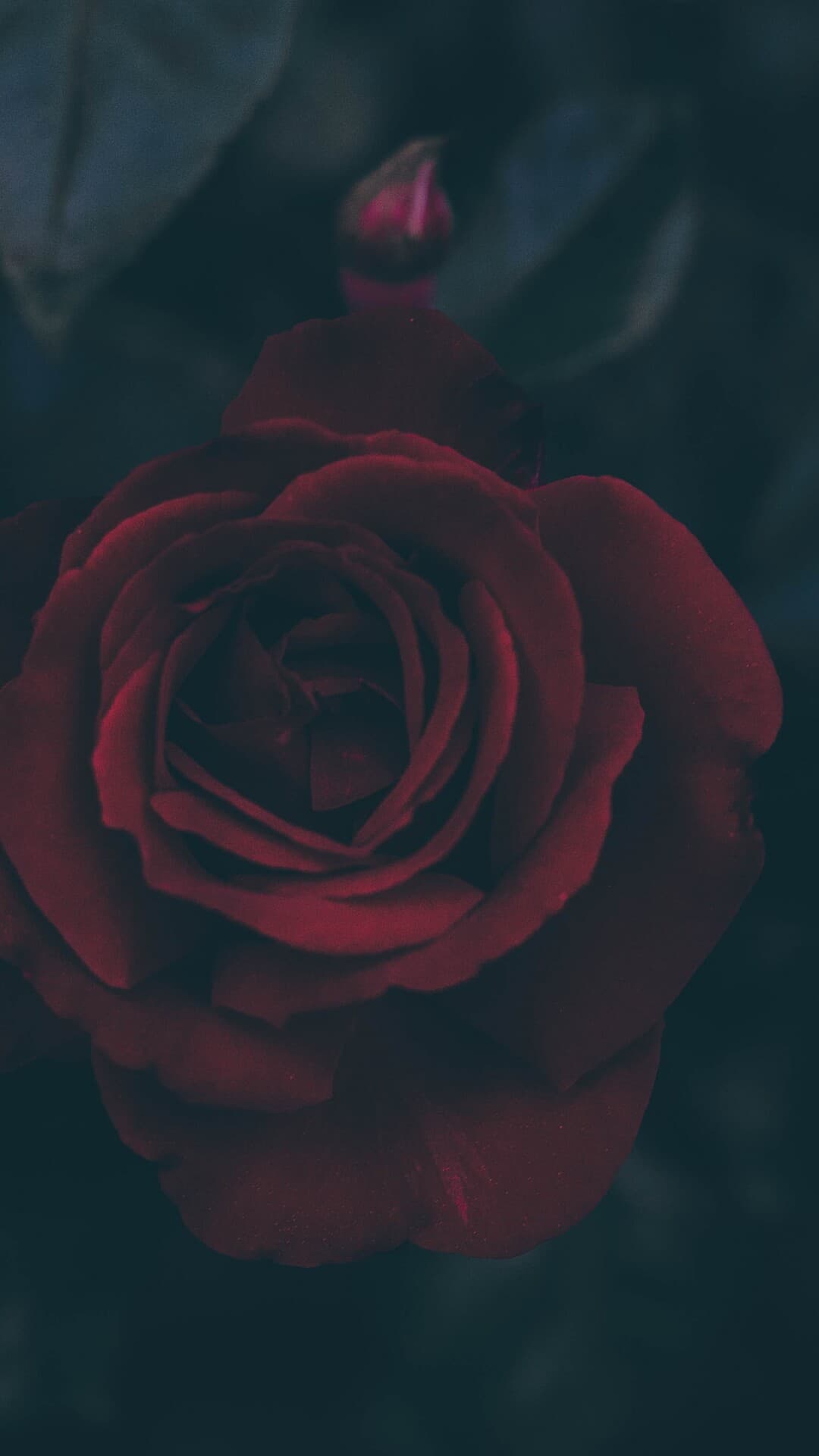 Aesthetic Wallpaper #86