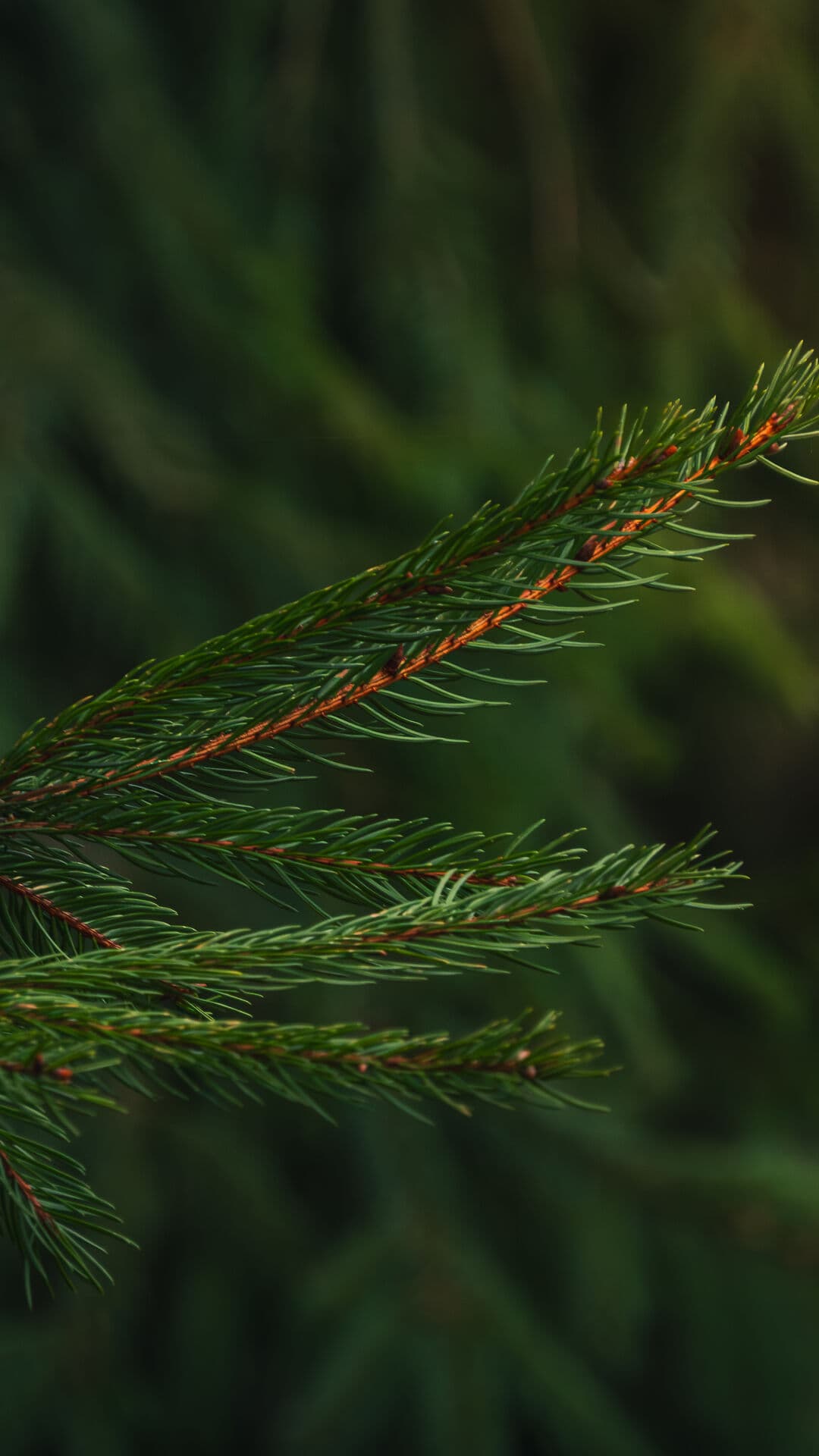 Aesthetic Wallpaper #1942