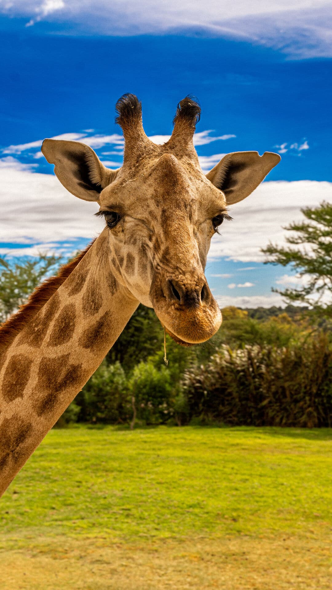 Aesthetic Wallpaper #5141