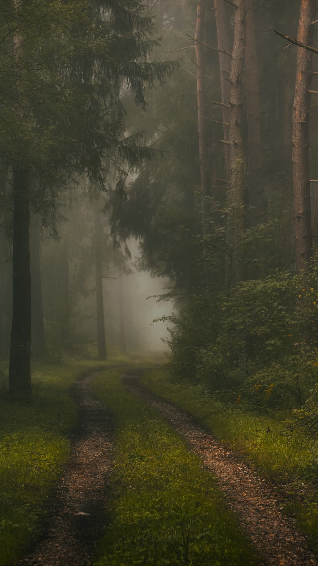 Aesthetic Wallpaper #2651