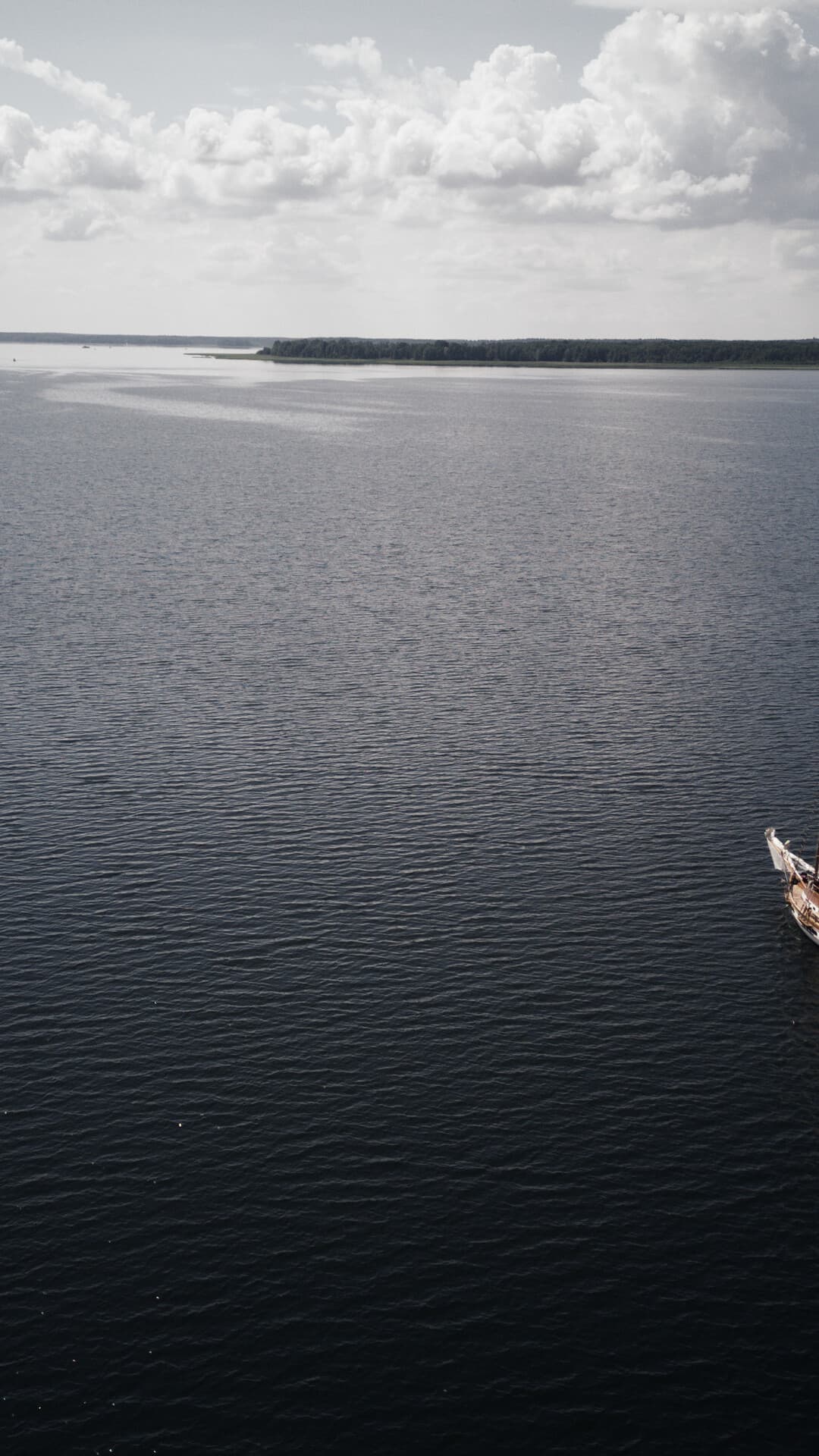 Aesthetic Wallpaper #1324