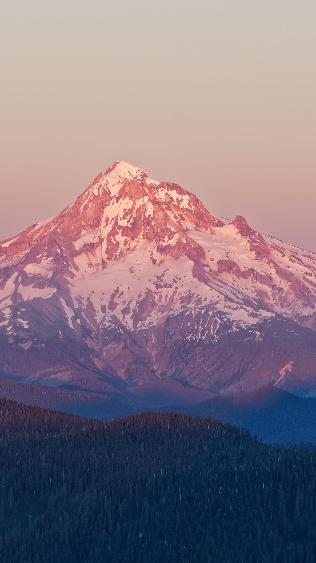 Aesthetic Wallpaper #1662