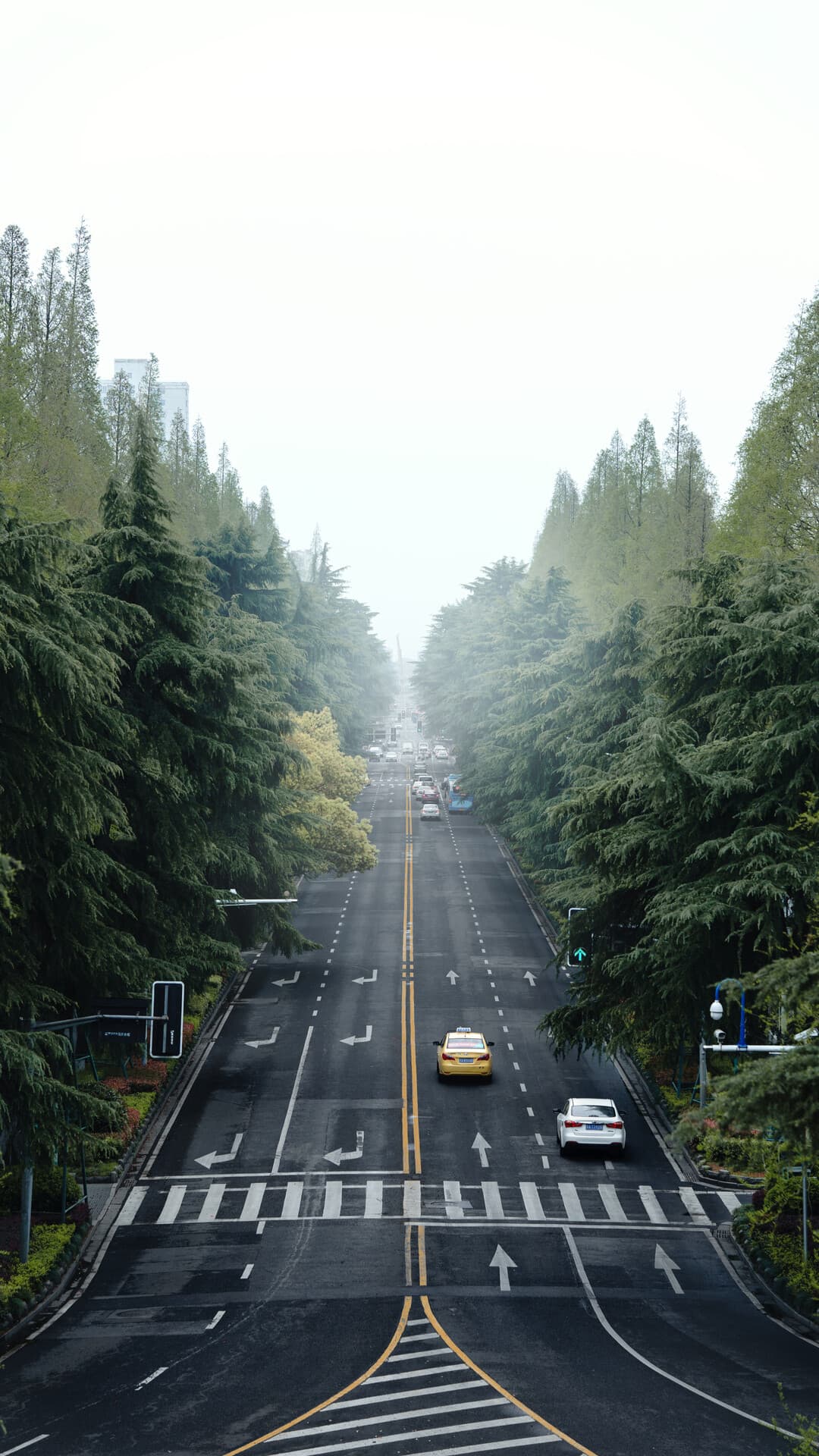 Aesthetic Wallpaper #127