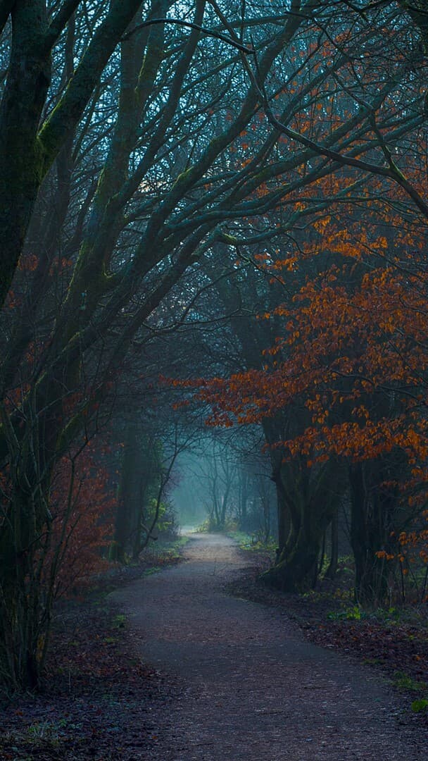 Aesthetic Wallpaper #2601