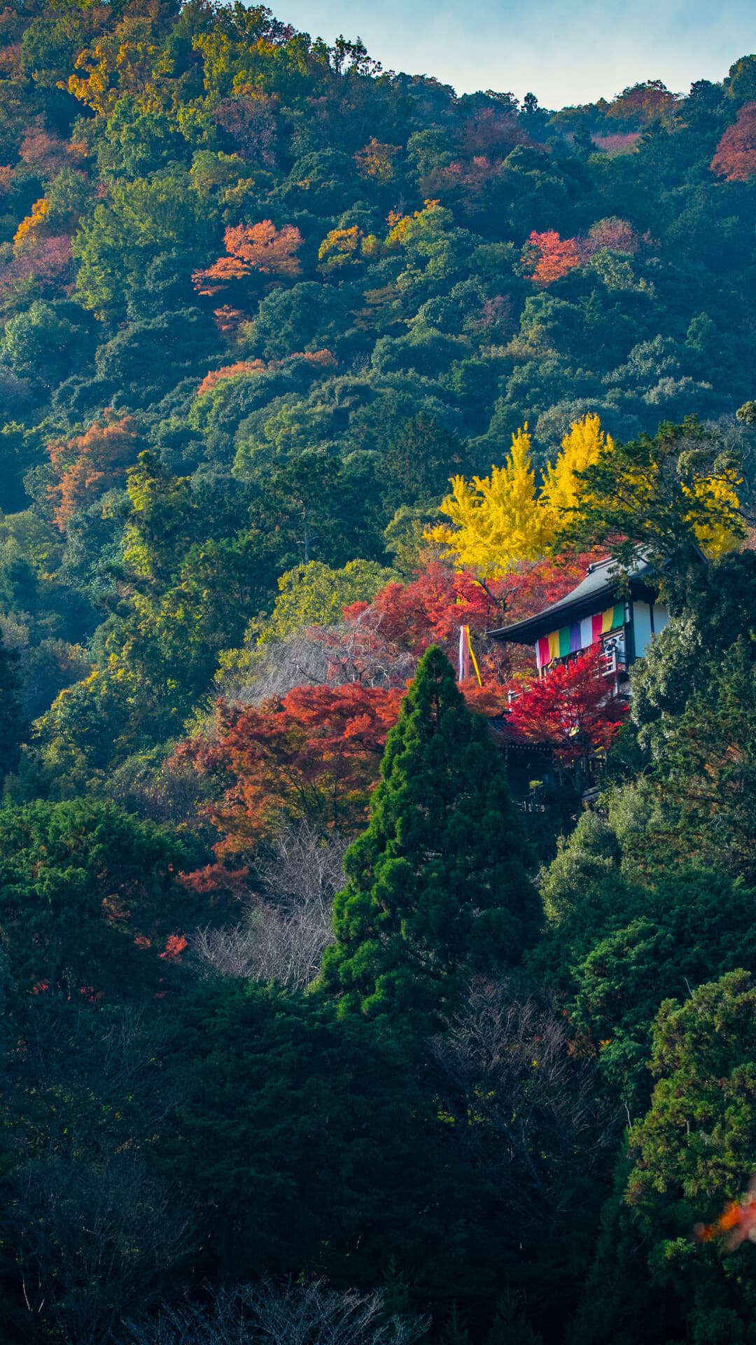 Aesthetic Wallpaper #1287