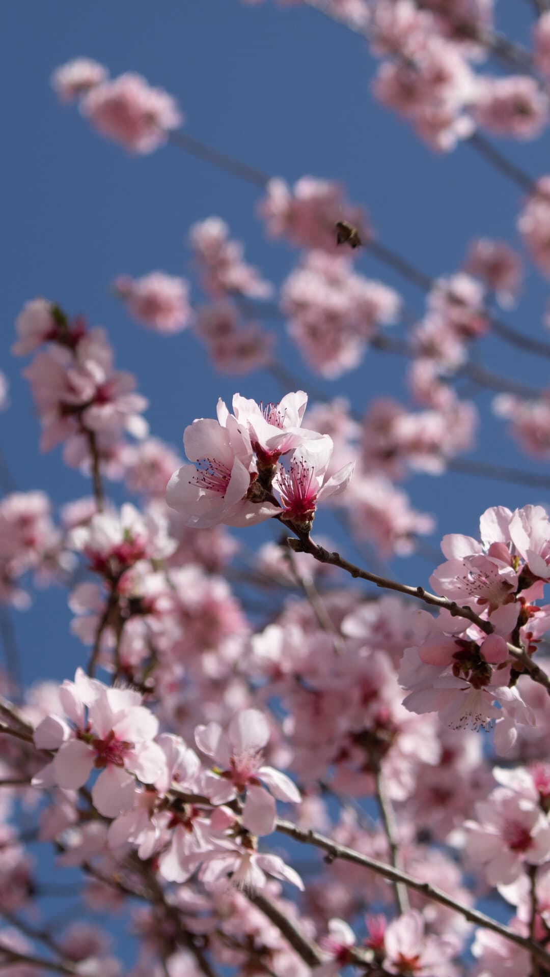 Aesthetic Wallpaper #2821