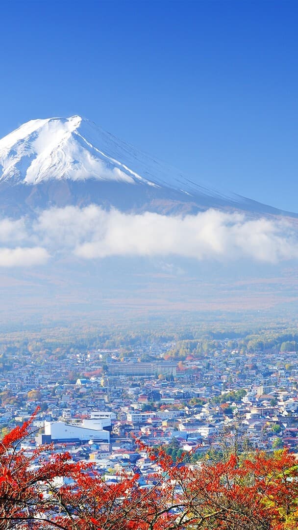 Aesthetic Wallpaper #259