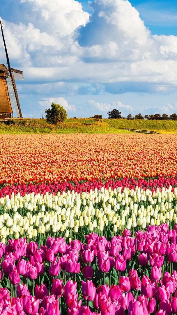 Aesthetic Wallpaper #2714