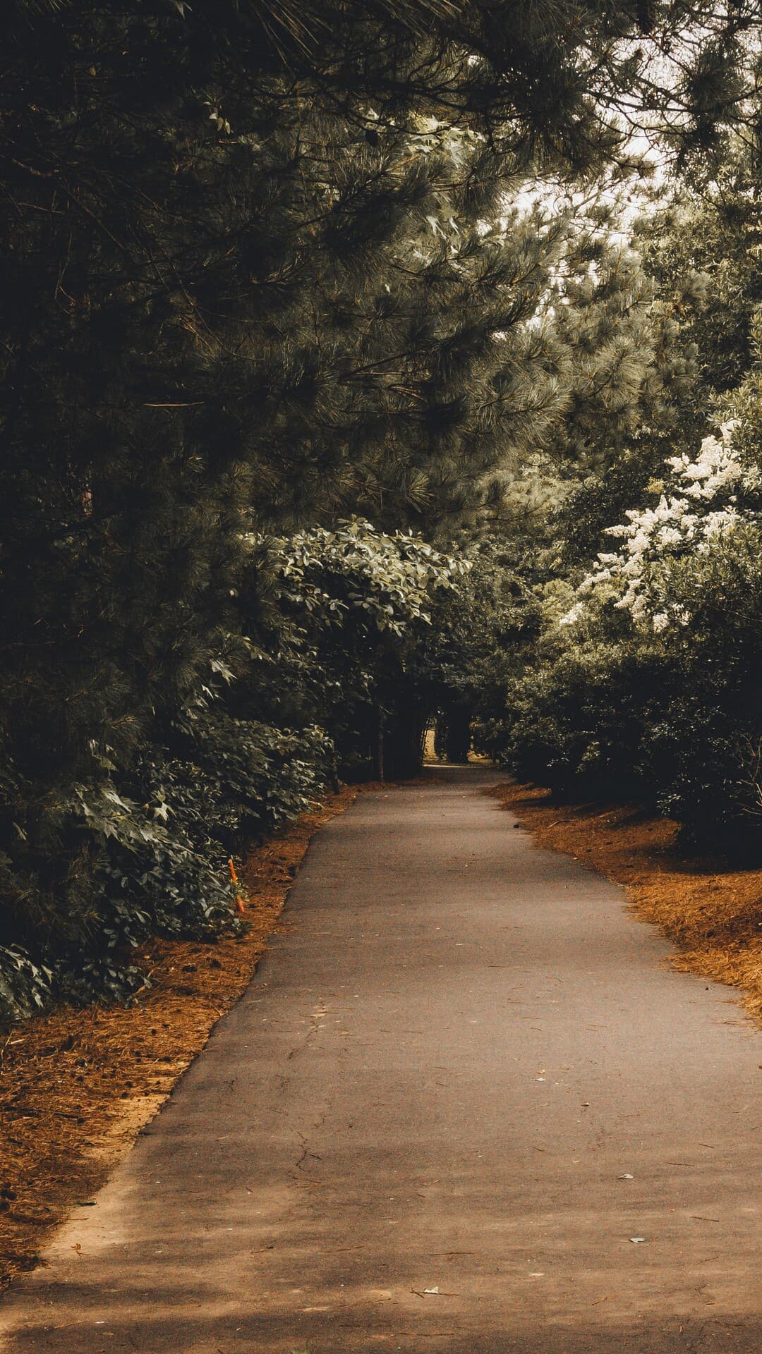 Aesthetic Wallpaper #4932