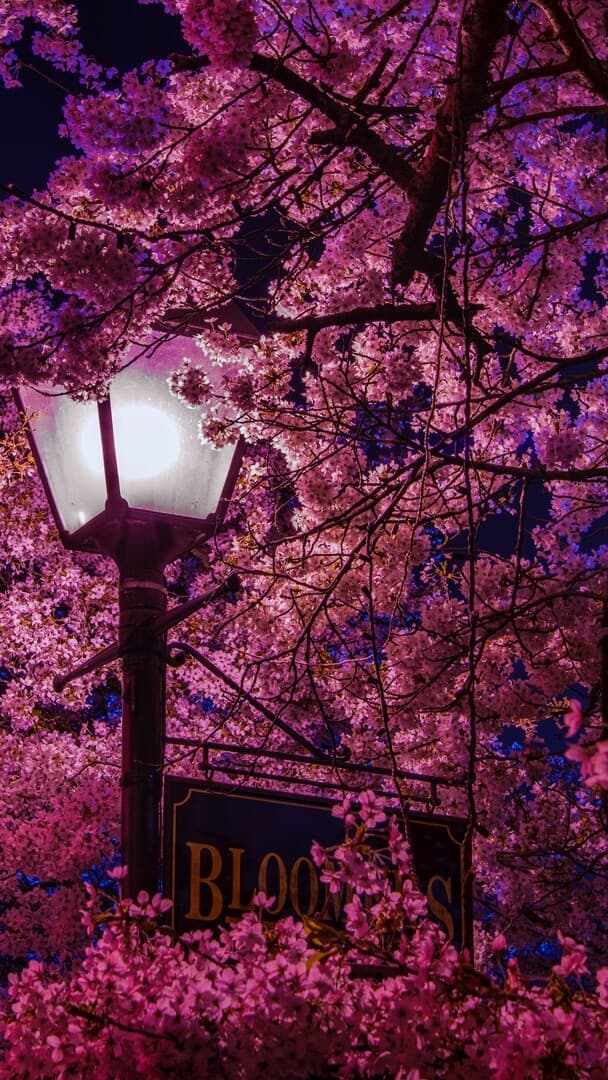 Aesthetic Wallpaper #73