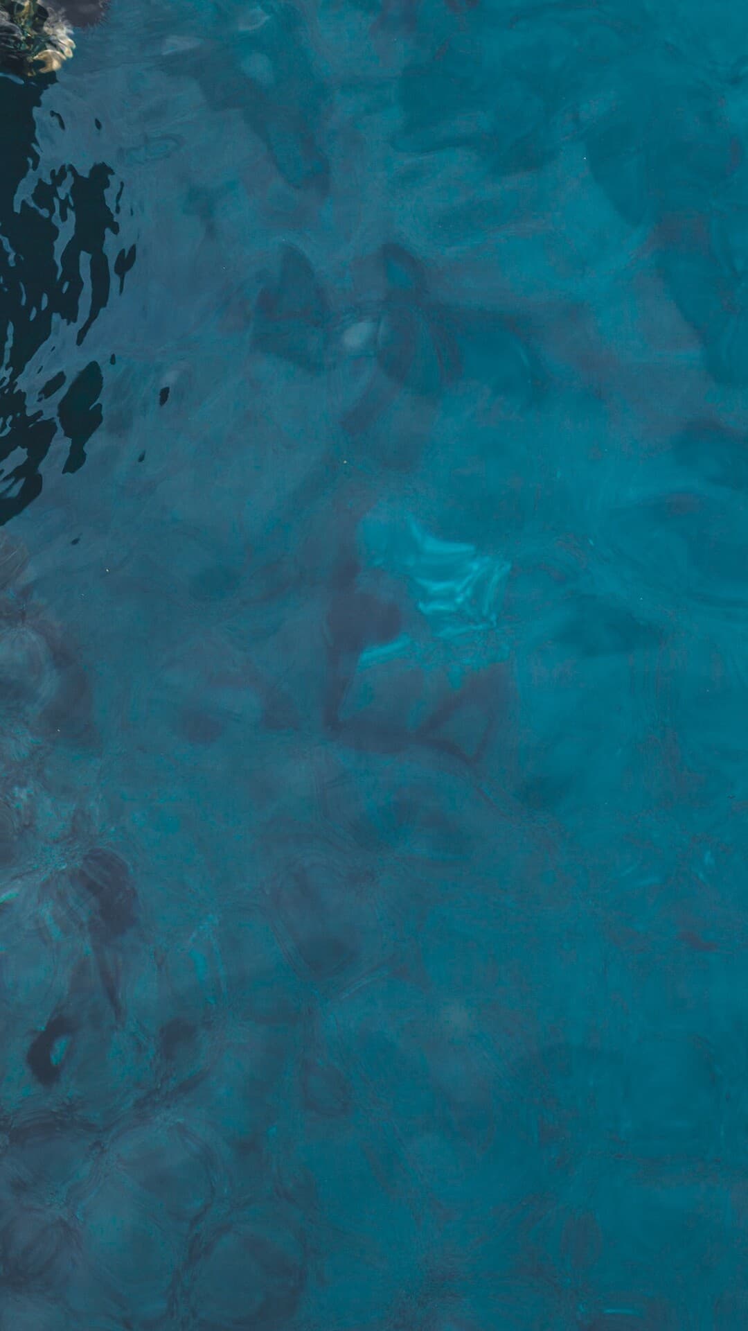 Aesthetic Wallpaper #244