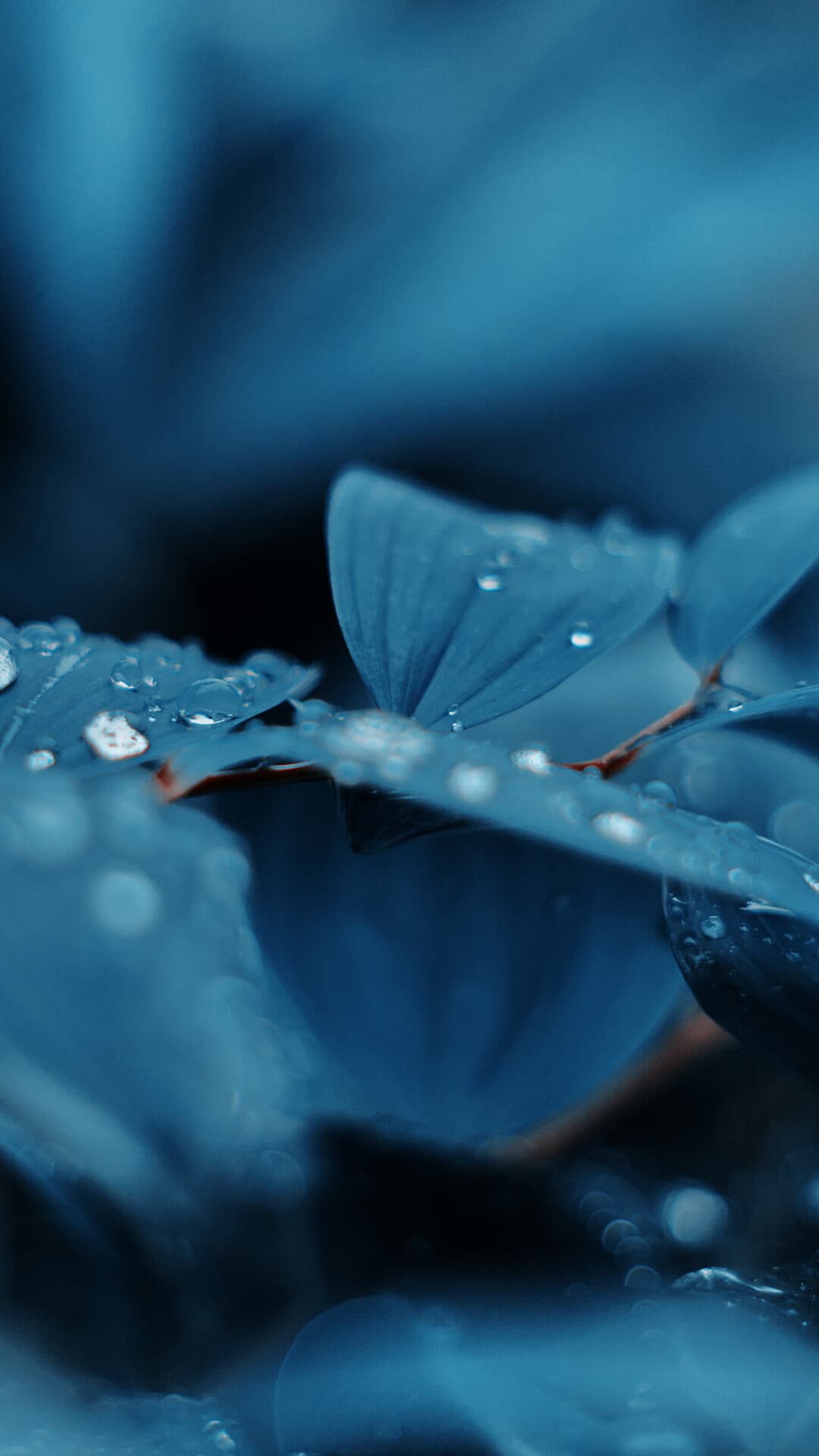 Aesthetic Wallpaper #2914 - free HD phone wallpaper for iPhone and Android, 1284x2778