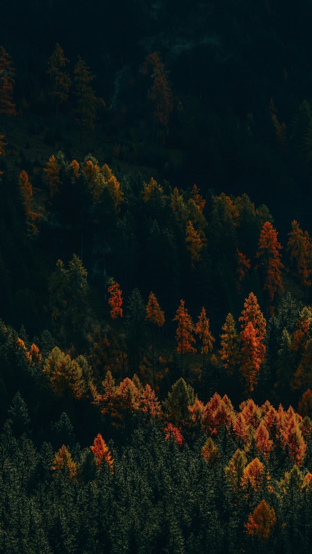 Aesthetic Wallpaper #4876