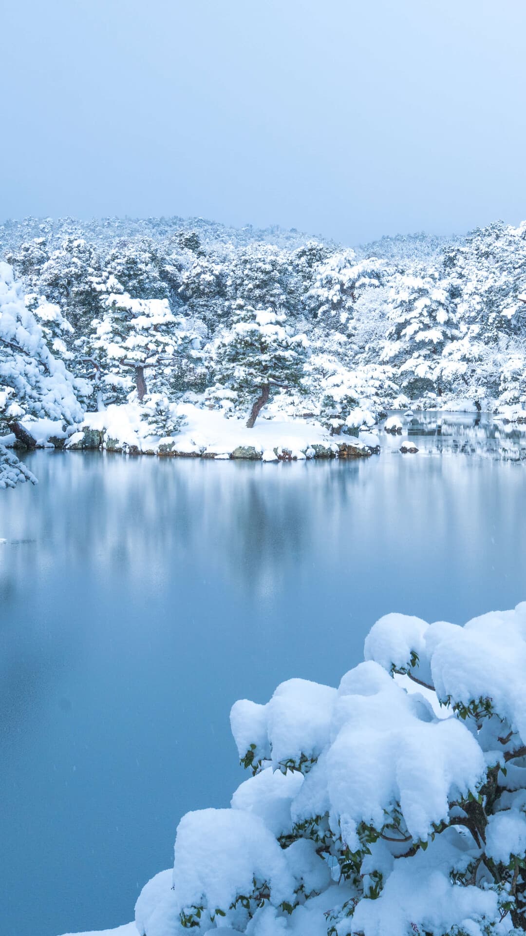 Aesthetic Wallpaper #3101