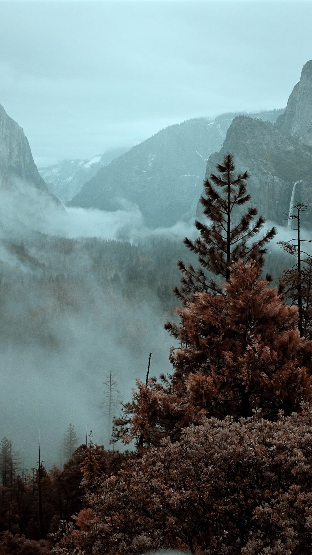 Aesthetic Wallpaper #3342