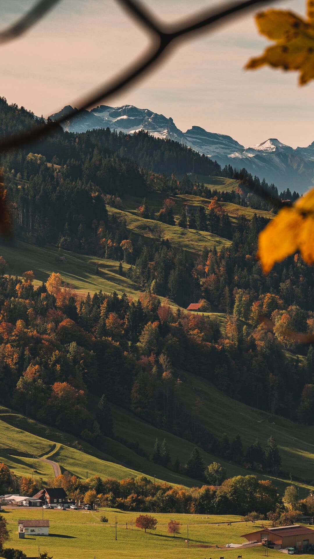 Aesthetic Wallpaper #5503