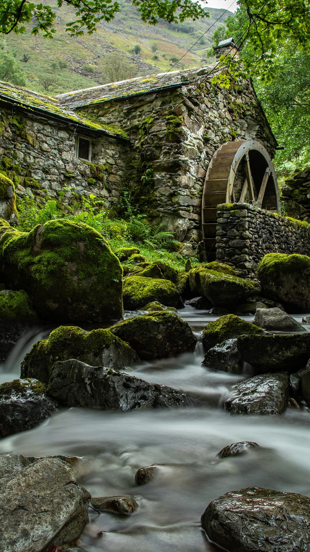 Aesthetic Wallpaper #3089