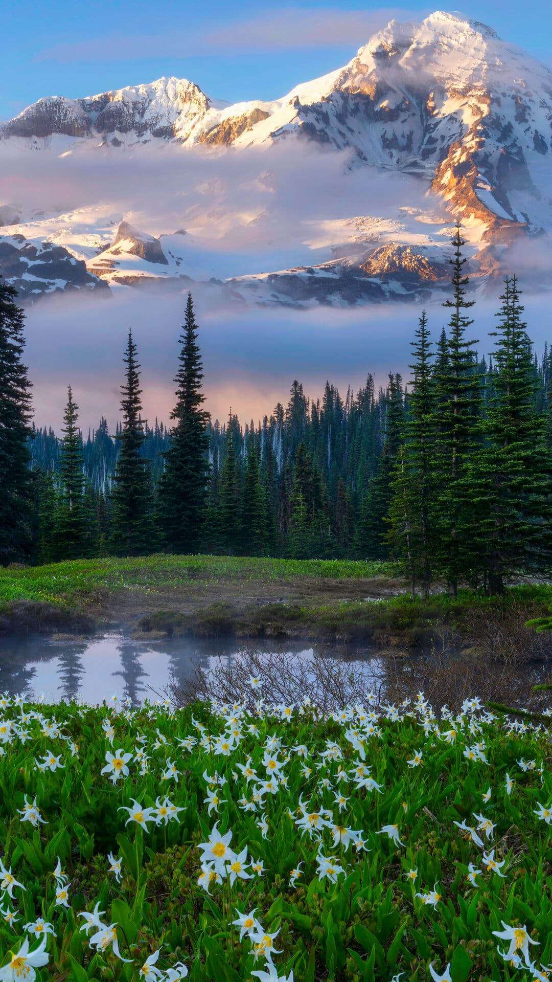 Aesthetic Wallpaper #2414