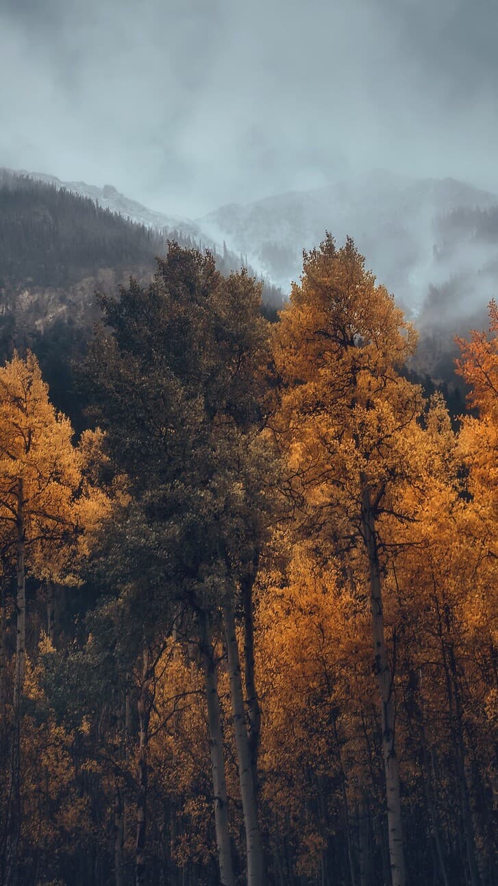 Aesthetic Wallpaper #858