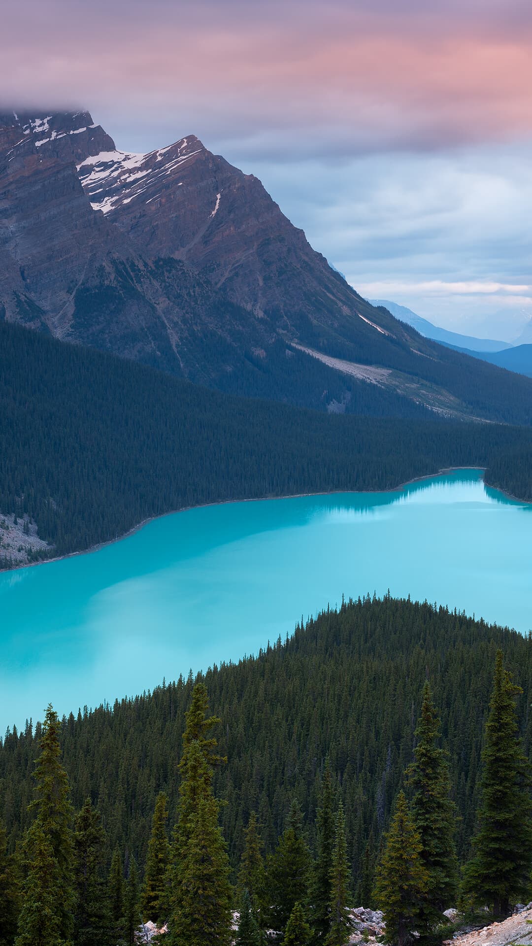 Aesthetic Wallpaper #102