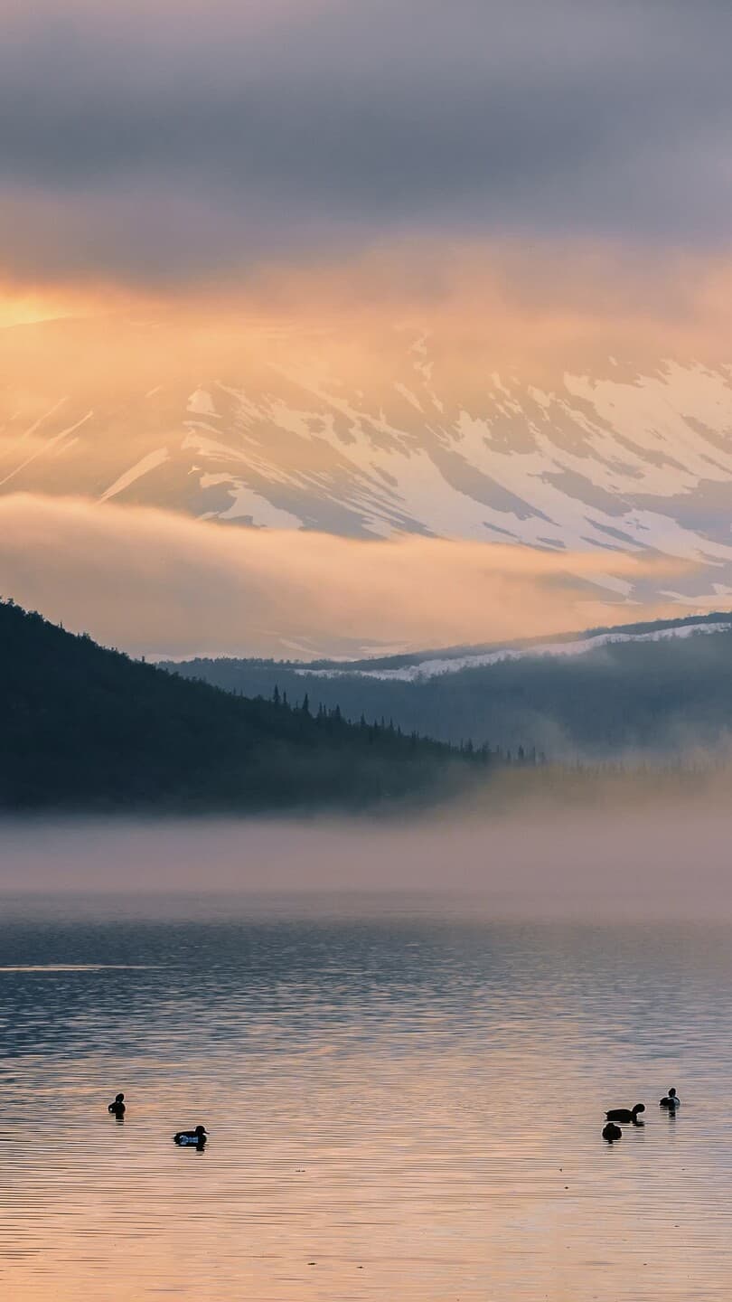 Aesthetic Wallpaper #4953