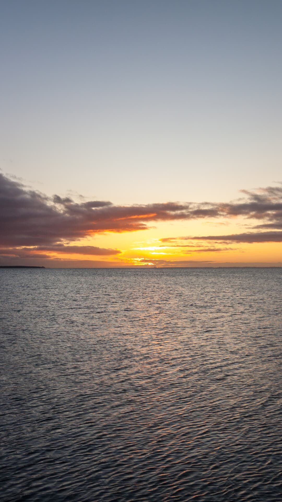 Aesthetic Wallpaper #1537