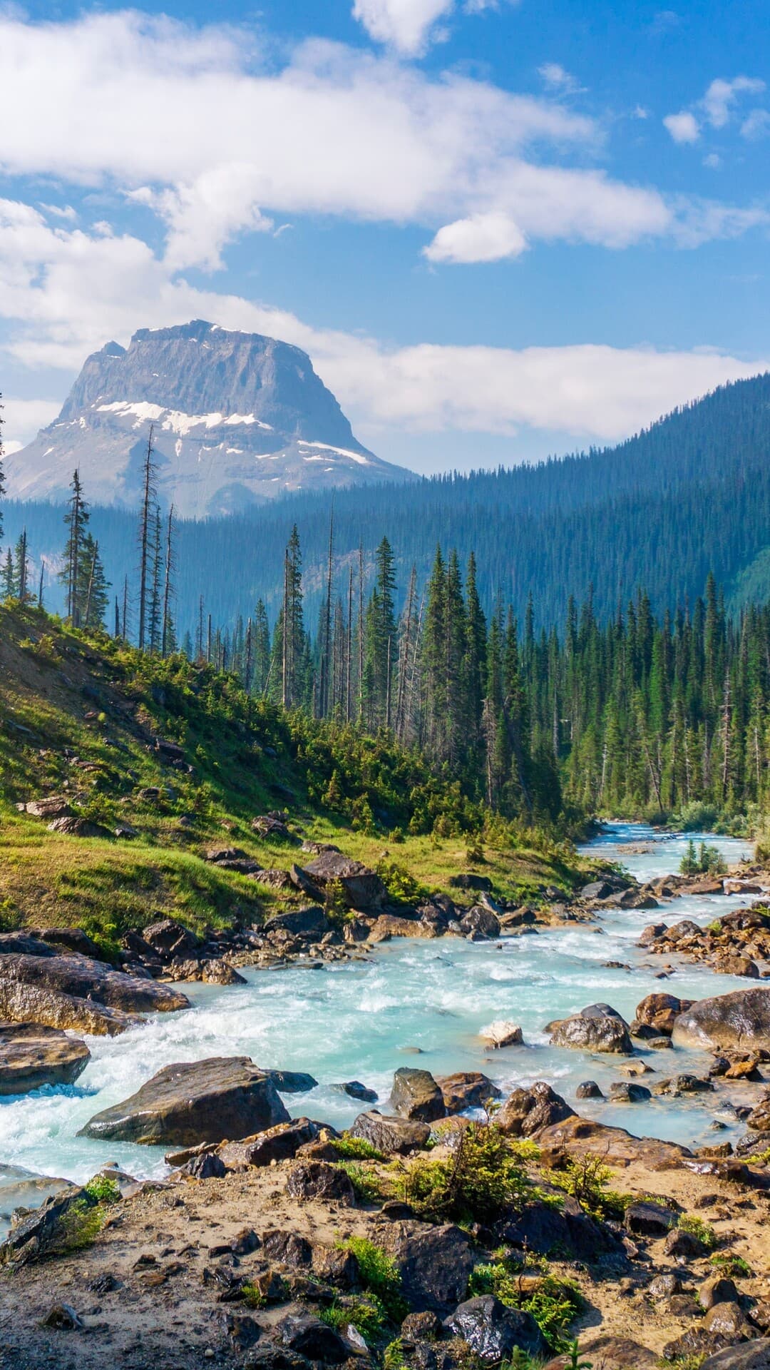 Aesthetic Wallpaper #1521