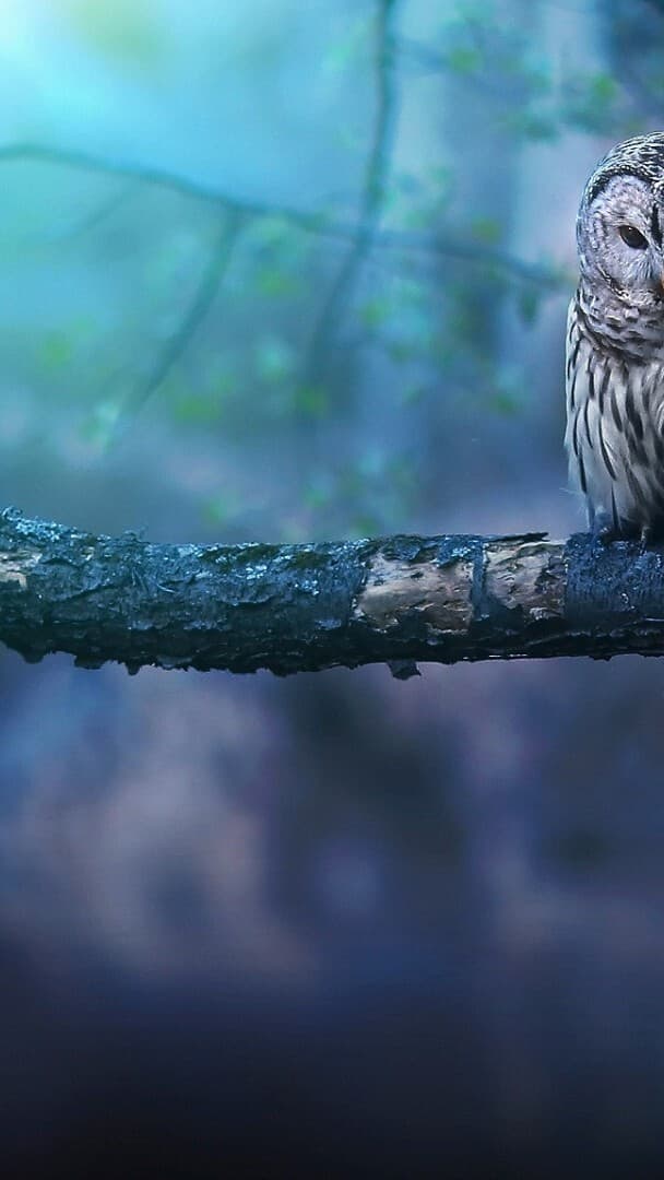 Aesthetic Wallpaper #289