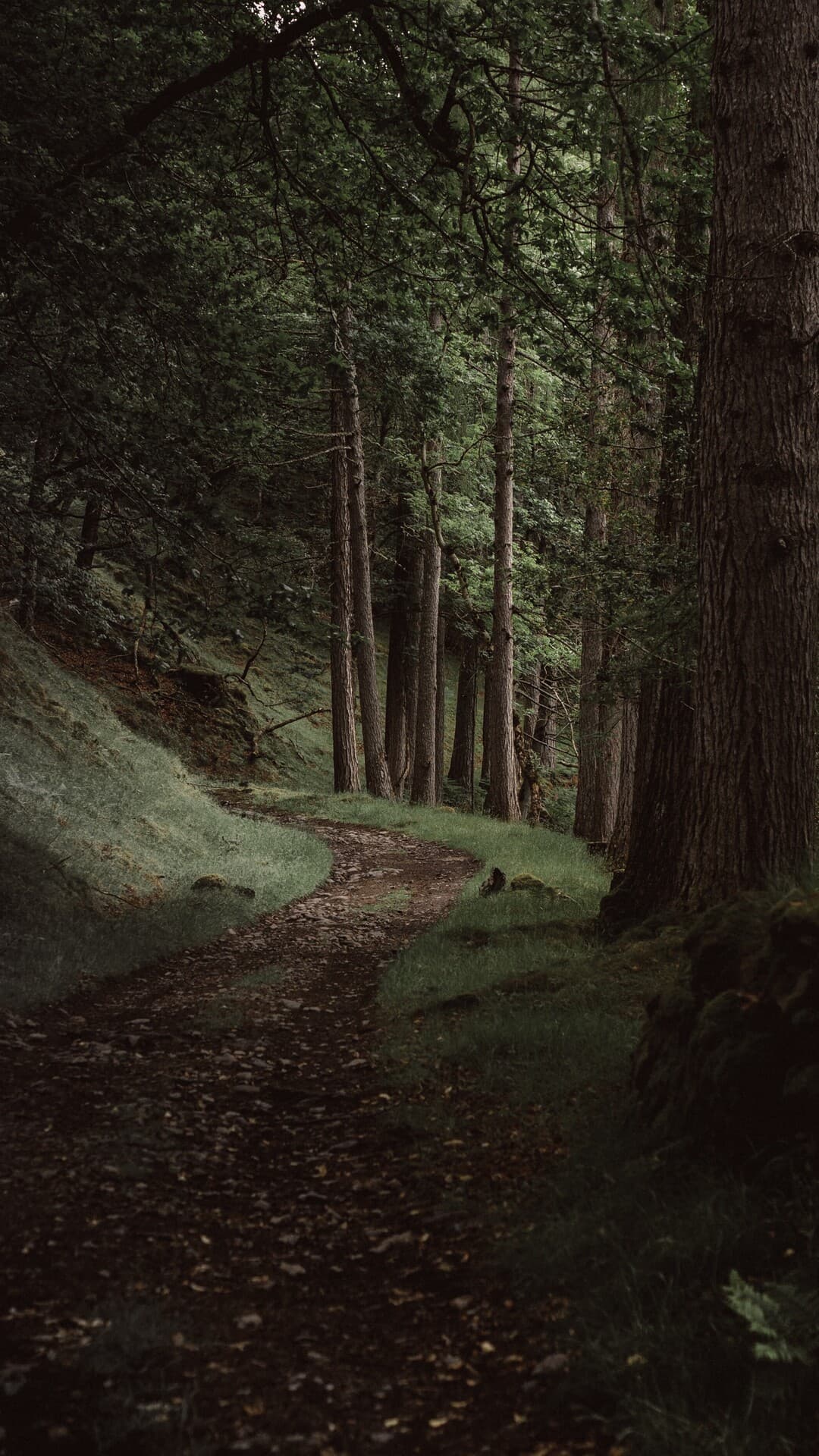 Aesthetic Wallpaper #1939