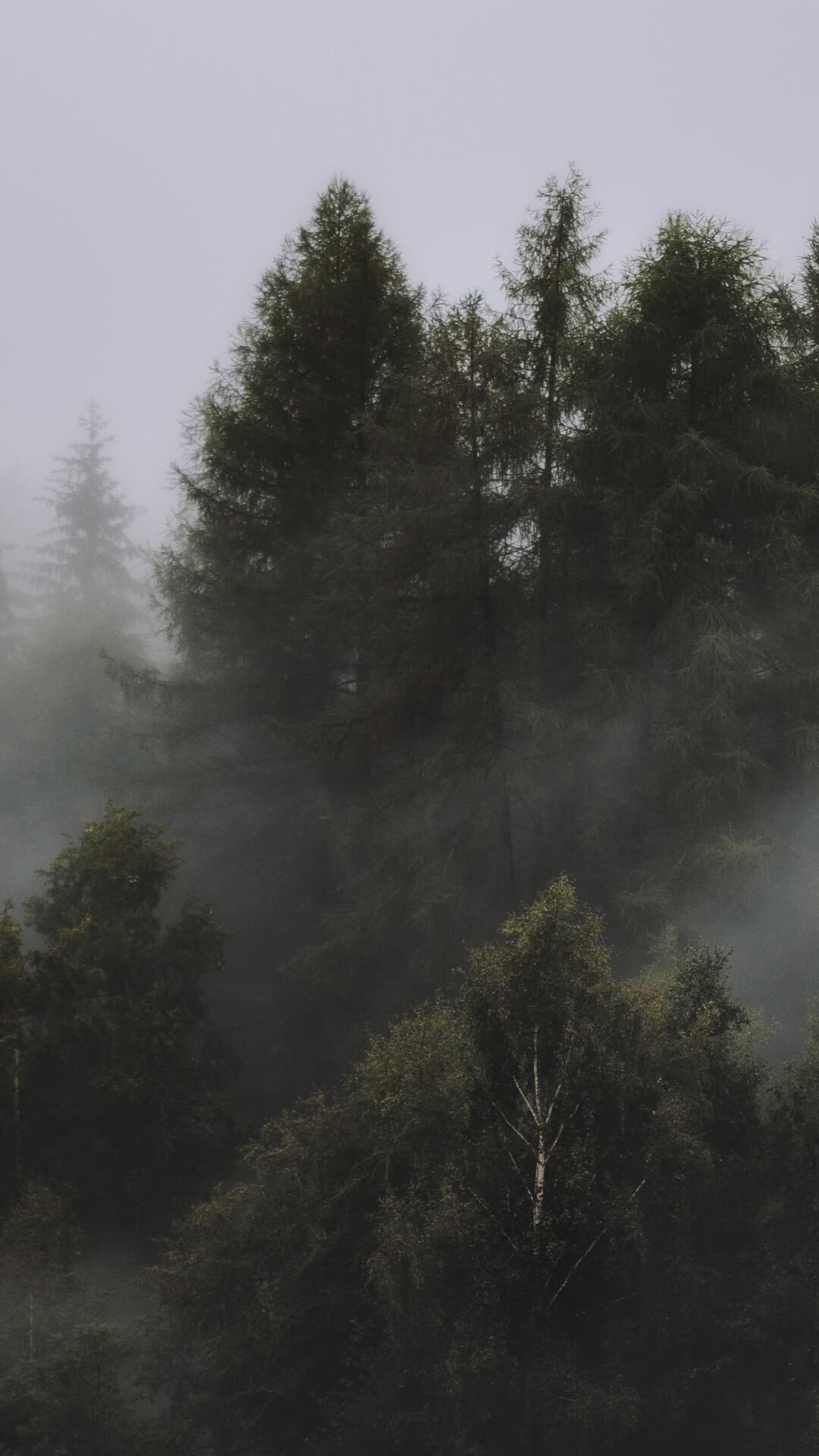 Aesthetic Wallpaper #4107