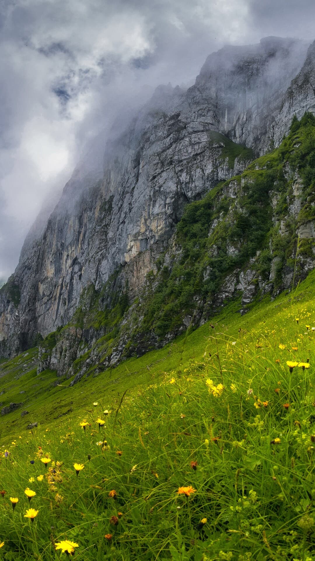 Aesthetic Wallpaper #2050