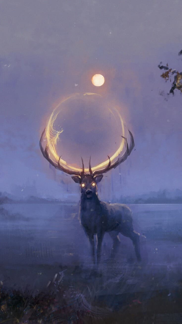 Aesthetic Wallpaper #1556